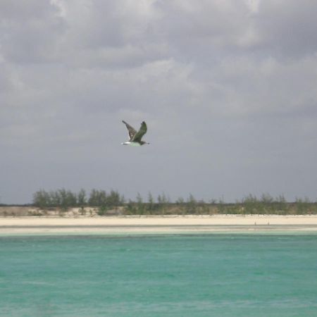 Chiky Villa Watamu Luaran gambar
