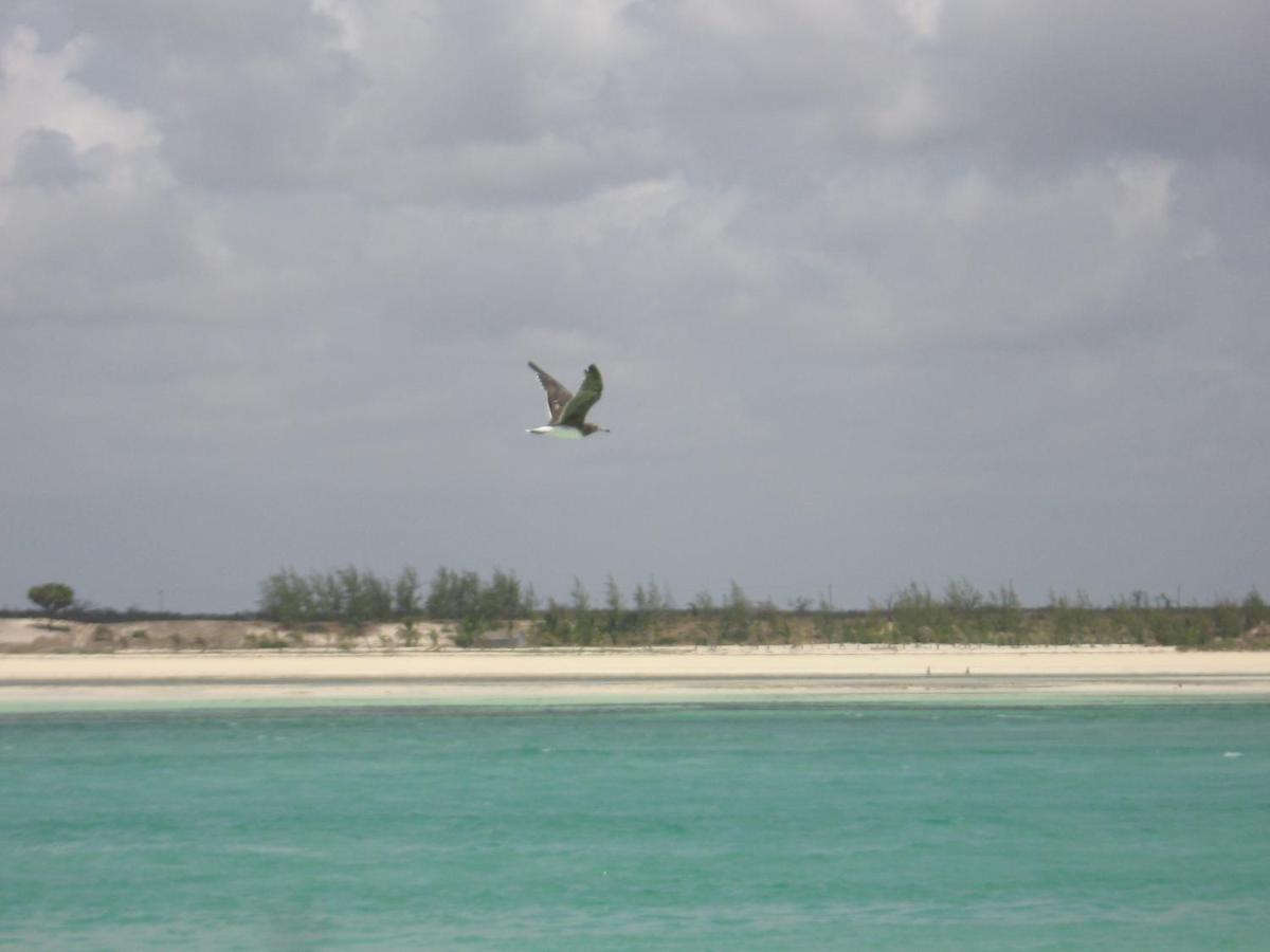 Chiky Villa Watamu Luaran gambar
