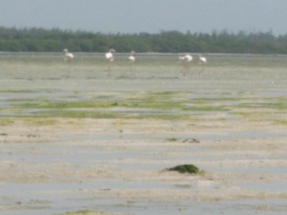 Chiky Villa Watamu Luaran gambar